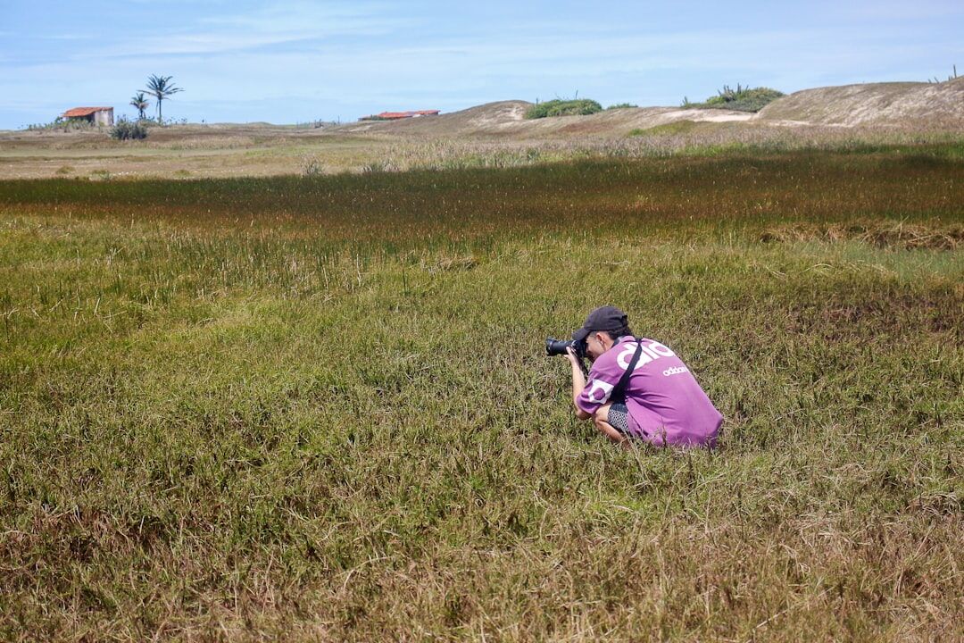 news reporter in field